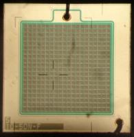 An MPPC detector