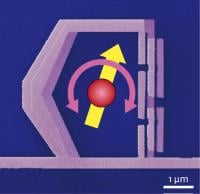 electron micrograph