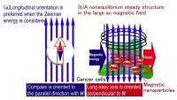 nanoparticles