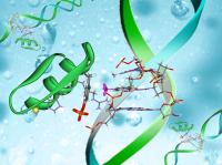 DNA Probe