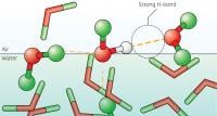 water molecules