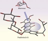 pradimicin A HIV
