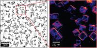 gold silver nano particles