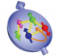 proton quarks gluons