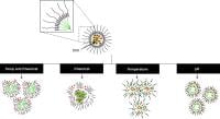 micelle schematic