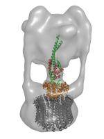 ion pump membrane protein