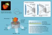 mechanism of full-color holography
