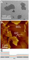 Graphene oxide flakes