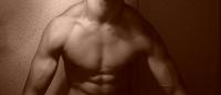 muscle