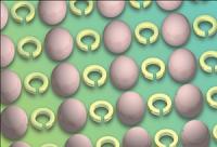 An array of metamolecules