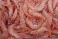 obtaining chitosan
