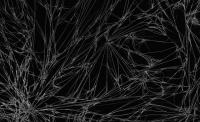 Fibrous caffeine crystals
