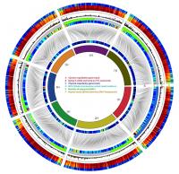 Barley Gene