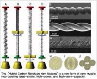 Hybrid-muscle1
