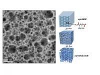TEM Image and Schematic View of conversion