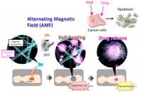 Nanomesh