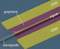 Graphene photodetector