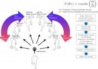 Precise Directional Control and Guide System