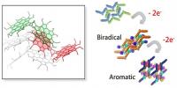Synthesis and Properties of Wing-Shaped Nanographene