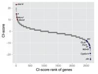 Scatter plots of CI-score of all genes (2652 genes) identified in this study