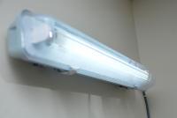 Fluorescent lamp