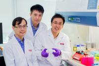 Research Team