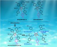Synthesis of marine alkaloid, dictyodendrin using selective C-H functionalization strategies