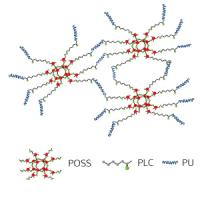 Star-shaped network