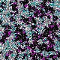 Image Name
