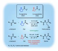 KAHA ligation to make amide bonds