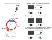 Image Name