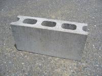 Image1