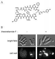 Figure-1