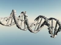 DNA