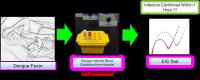 Figure 1 - Rapid, sensitive, specific and direct detection of Dengue virus NS1 biomarker in serum