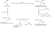 Figure 1  Silylation mechanism of HMDS-TMSOTf