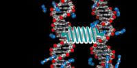 Atomic-level simulations