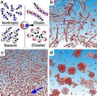 Janus colloids
