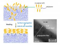 Schematic depiction of polymer brush formation 