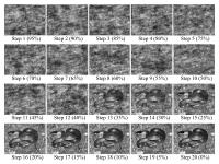 Examples of a Random Image Structure Evolution(RISE) sequence for snake pictures