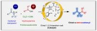 Direct catalytic asymmetric introduction of non-protected amino groups at the α-position of carbonyl compounds.