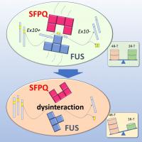 Altered tau isoform ratio caused by loss of FUS and SFPQ function leads to FTLD-like phenotypes