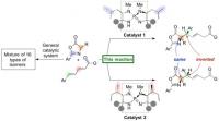 Novel organocatalytic system to selectively generate diastereomers in high yield and selectivity