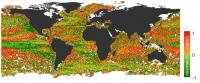 The directional agreement between ocean surface currents and sea surface temperature gradients (1979-2012). Red colors represent good directional agreement whereas green colors represent directional mismatch.