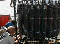 A changing climate affects plankton populations