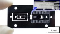 The developed microfluidic chip which enables high-speed sorting of large cell