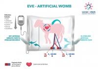 Artificial womb raises hope for premature babies