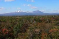 Hokkaido University's Tomakomai Experimental Forest in Autumn with Mt. Tarumae (left) and Mt. Fuppushi (right) in the background.