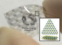 Semitransparent and Flexible - Solar Cells made from atomically thin sheet