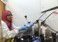 Wastewater treatment